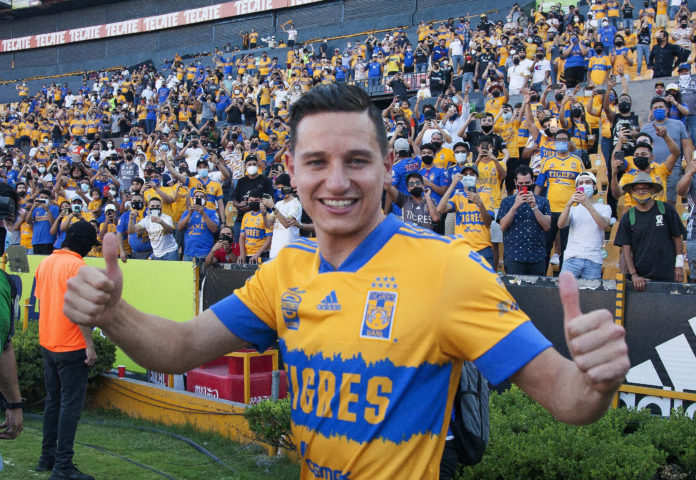 Tigres