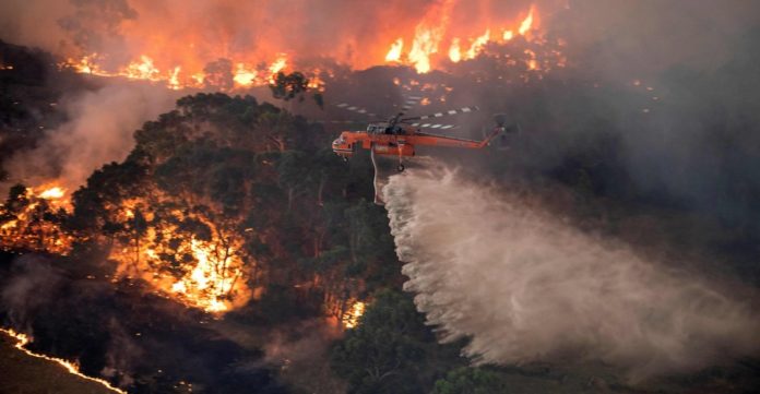 Deportistas cambio climático