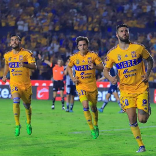 Tigres