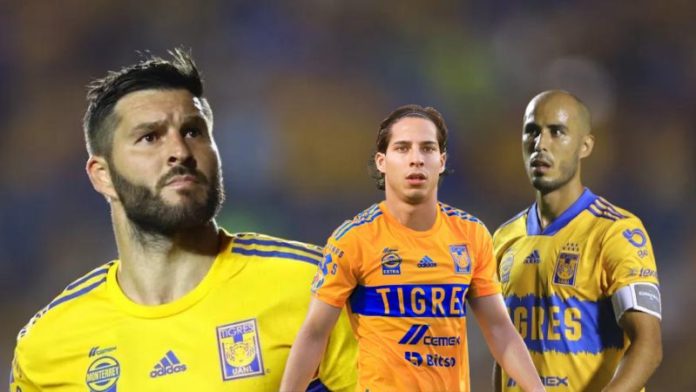 Tigres