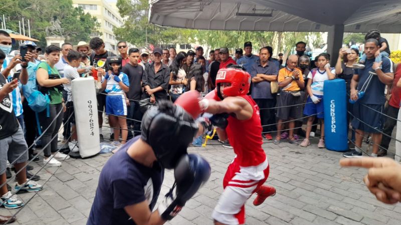 Niños y jóvenes ofrecieron una velada boxística de exhibición en el Parque Central de la capital.