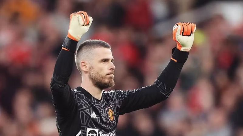 Con el Manchester United, David de Gea ganó varios títulos de la Premier League.