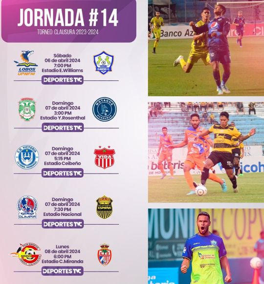 Jornada 14