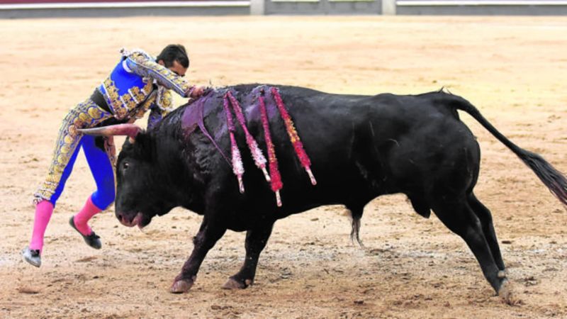 Ciudad de México prohibió las corridas que incluyan la muerte del toro y el uso de objetos punzocortantes durante la lidia.